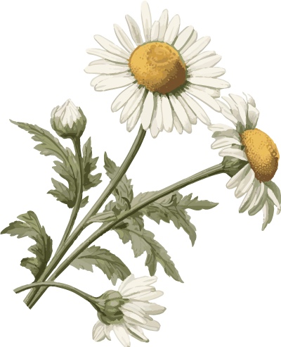 选对振动电机很关键！威猛 YZO 系列产品优势解读