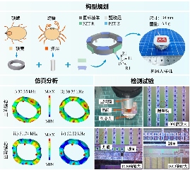 哈工大刘英想教授团队为微小型压电机器人设计提供新思路