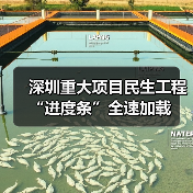 深圳重大项目民生工程“进度条”全速加载