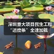 深圳重大项目民生工程“进度条”全速加载