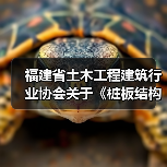 福建省土木工程建筑行业协会关于《桩板结构技术规程》等13项团体标准联合立项公告 福建省土木工程建筑行业协会关于《桩板结构技术规程》等13项团体标准联合立项公告