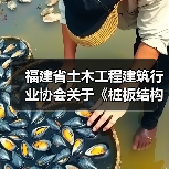 福建省土木工程建筑行业协会关于《桩板结构技术规程》等13项团体标准联合立项公告 福建省土木工程建筑行业协会关于《桩板结构技术规程》等13项团体标准联合立项公告