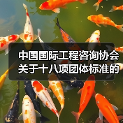 中国国际工程咨询协会关于十八项团体标准的立项公告