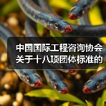 中国国际工程咨询协会关于十八项团体标准的立项公告
