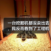 一台挖掘机都没卖出去，我反而看到了工程机械市场复苏的信号