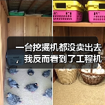 一台挖掘机都没卖出去，我反而看到了工程机械市场复苏的信号