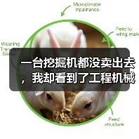 一台挖掘机都没卖出去,我却看到了工程机械市场复苏的信号 一台挖掘机都没卖出去,我却看到了工程机械市场复苏的信号