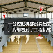 一台挖掘机都没卖出去,我却看到了工程机械市场复苏的信号 一台挖掘机都没卖出去,我却看到了工程机械市场复苏的信号