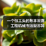 一个包工头的账本泄露:工程机械市场复苏背后的真相 一个包工头的账本泄露:工程机械市场复苏背后的真相
