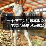 一个包工头的账本泄露:工程机械市场复苏背后的真相 一个包工头的账本泄露:工程机械市场复苏背后的真相