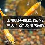 工程机械采购如何少花40万？避坑攻略大揭秘