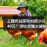 工程机械采购如何少花40万？避坑攻略大揭秘
