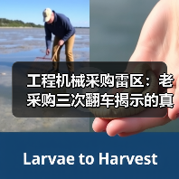 工程机械采购雷区：老采购三次翻车揭示的真相