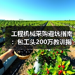 工程机械采购避坑指南：包工头200万教训揭秘