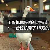 工程机械采购避坑指南：一台挖机亏了18万的血泪教训