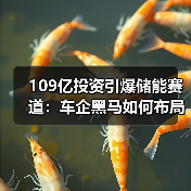 109亿投资引爆储能赛道：车企黑马如何布局千亿能源生态？