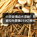 小资金撬动大项目?鞍重股份豪赌260亿锂电全产业链能否成? 小资金撬动大项目?鞍重股份豪赌260亿锂电全产业链能否成?