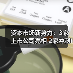 资本市场新势力:3家上市公司亮相 2家冲刺IPO 资本市场新势力:3家上市公司亮相 2家冲刺IPO