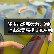 资本市场新势力:3家上市公司亮相 2家冲刺IPO 资本市场新势力:3家上市公司亮相 2家冲刺IPO