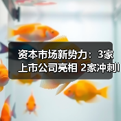 资本市场新势力:3家上市公司亮相 2家冲刺IPO 资本市场新势力:3家上市公司亮相 2家冲刺IPO