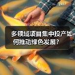 多领域项目集中投产如何推动绿色发展？