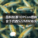 晶科能源TOPCon组件拿下巴西522MW光伏项目 晶科能源TOPCon组件拿下巴西522MW光伏项目