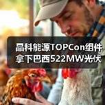 晶科能源TOPCon组件拿下巴西522MW光伏项目 晶科能源TOPCon组件拿下巴西522MW光伏项目