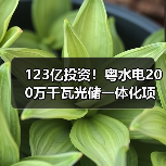123亿投资!粤水电200万千瓦光储一体化项目如何提升清洁能源竞争力 123亿投资!粤水电200万千瓦光储一体化项目如何提升清洁能源竞争力