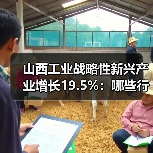 山西工业战略性新兴产业增长19.5%:哪些行业领跑? 山西工业战略性新兴产业增长19.5%:哪些行业领跑?
