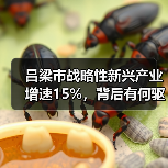 吕梁市战略性新兴产业增速15%,背后有何驱动? 吕梁市战略性新兴产业增速15%,背后有何驱动?