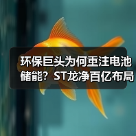 环保巨头为何重注电池储能?ST龙净百亿布局引关注 环保巨头为何重注电池储能?ST龙净百亿布局引关注