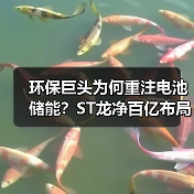 环保巨头为何重注电池储能?ST龙净百亿布局引关注 环保巨头为何重注电池储能?ST龙净百亿布局引关注