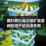 国轩高科再添锂矿资源 碳酸锂产能加速布局 国轩高科再添锂矿资源 碳酸锂产能加速布局