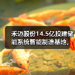 禾迈股份14.5亿投建储能系统智能制造基地,如何布局未来能源? 禾迈股份14.5亿投建储能系统智能制造基地,如何布局未来能源?