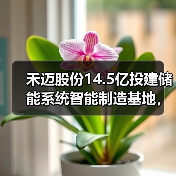 禾迈股份14.5亿投建储能系统智能制造基地,如何布局未来能源? 禾迈股份14.5亿投建储能系统智能制造基地,如何布局未来能源?