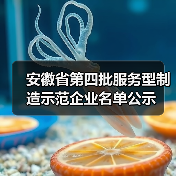 安徽省第四批服务型制造示范企业名单公示 安徽省第四批服务型制造示范企业名单公示