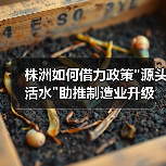 株洲如何借力政策"源头活水"助推制造业升级 株洲如何借力政策"源头活水"助推制造业升级