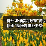 株洲如何借力政策"源头活水"助推制造业升级 株洲如何借力政策"源头活水"助推制造业升级