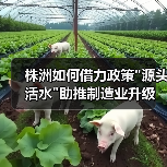 株洲如何借力政策"源头活水"助推制造业升级 株洲如何借力政策"源头活水"助推制造业升级