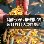 智能分选线与造楼机引领11月19大项目投运 智能分选线与造楼机引领11月19大项目投运