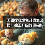 国四标准绿色升级怎么搞?徐工升级路径揭秘 国四标准绿色升级怎么搞?徐工升级路径揭秘