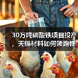 30万吨磷酸铁项目投产，天赐材料如何领跑锂电赛道？