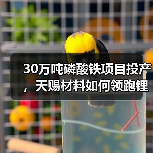 30万吨磷酸铁项目投产，天赐材料如何领跑锂电赛道？