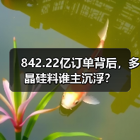 842.22亿订单背后,多晶硅料谁主沉浮? 842.22亿订单背后,多晶硅料谁主沉浮?