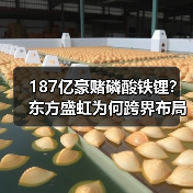 187亿豪赌磷酸铁锂?东方盛虹为何跨界布局? 187亿豪赌磷酸铁锂?东方盛虹为何跨界布局?