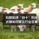 智能制造“双十”科技进展如何驱动行业变革与升级？