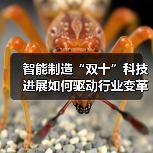 智能制造“双十”科技进展如何驱动行业变革与升级？