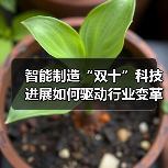 智能制造“双十”科技进展如何驱动行业变革与升级？