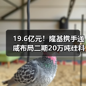 19.6亿元!隆基携手通威布局二期20万吨硅料项目 19.6亿元!隆基携手通威布局二期20万吨硅料项目