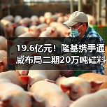 19.6亿元!隆基携手通威布局二期20万吨硅料项目 19.6亿元!隆基携手通威布局二期20万吨硅料项目